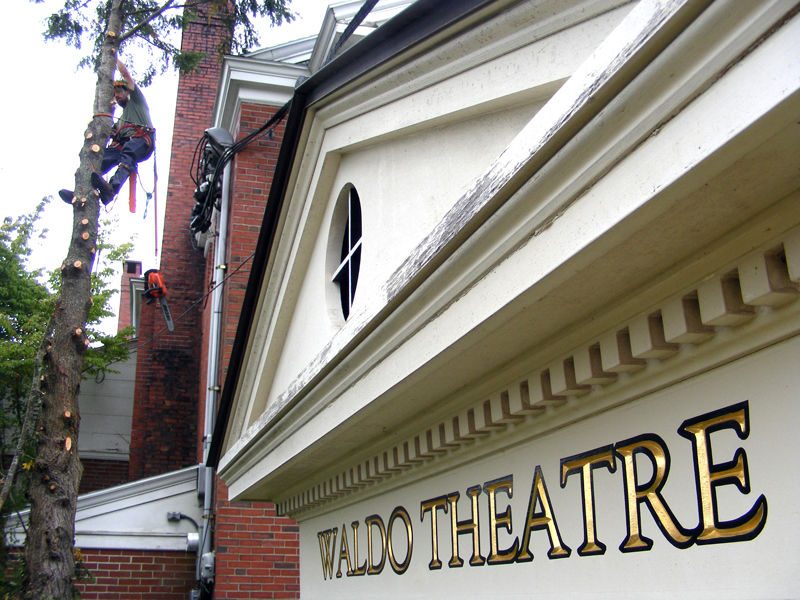 The front of the Waldo Theatre benefits from recent tree work.