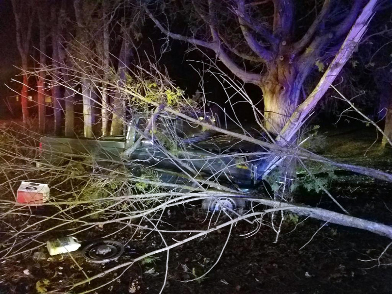 A Damariscotta man's pickup truck crashed into a tree after he fell asleep at the wheel the evening of Wednesday, Nov. 15. (Photo courtesy Damariscotta Police Department)