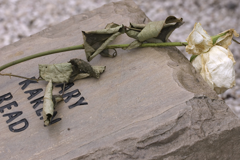 A white rose lays atop the Hokie Stone honoring the life of Virginia Tech student Mary Karen Read, one of 32 Hokie Stones in the April 16 Memorial at Virginia Tech in Blacksburg, Va. (Photo courtesy Tom Mathews)