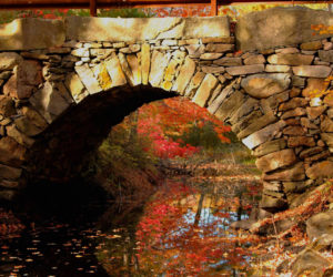 Sandee Brackett's photo of the Arch Bridge in Bristol Mills received the most votes to become the 11th monthly winner of the #LCNme365 photo contest. Brackett will receive a $50 gift certificate to a local business from Damariscotta Bank & Trust, the sponsor of the November contest.