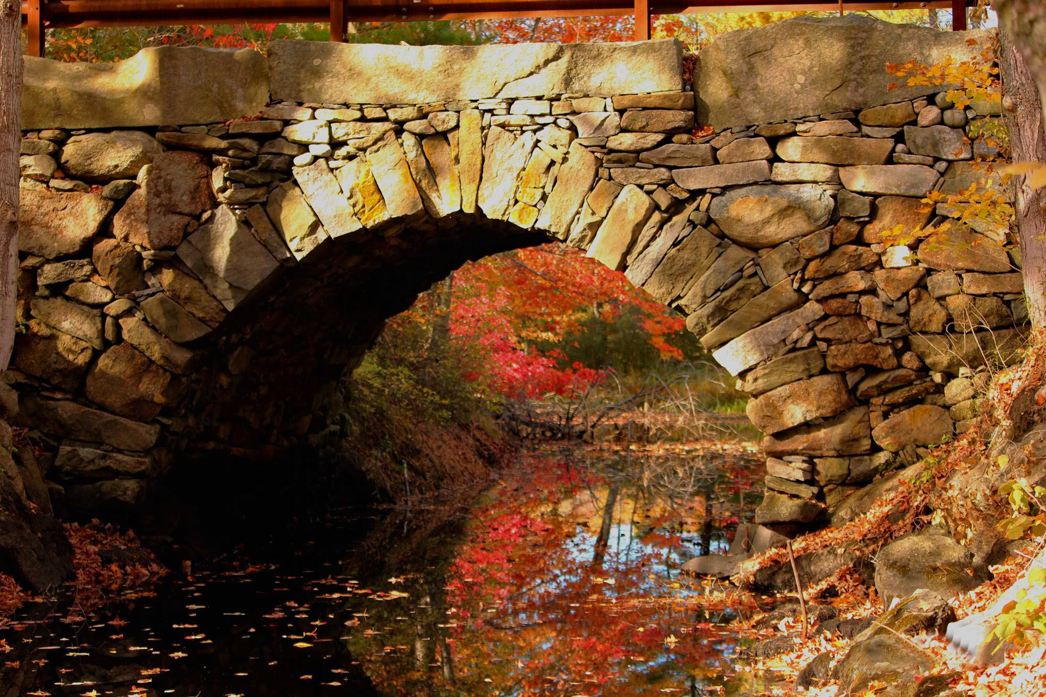 Sandee Brackett's photo of the Arch Bridge in Bristol Mills received the most votes to become the 11th monthly winner of the #LCNme365 photo contest. Brackett will receive a $50 gift certificate to a local business from Damariscotta Bank & Trust, the sponsor of the November contest.