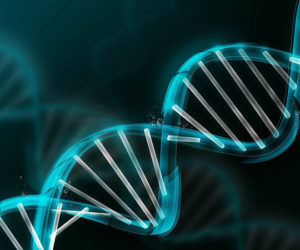 Januarys Genealogy Club topic is Youve Received Your DNA Results -- Now What?