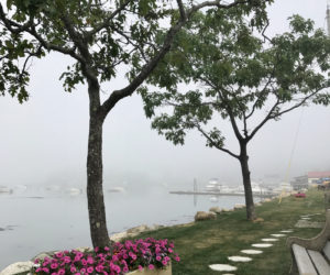 Jim Cosgrove's photo of a foggy morning in Damariscotta's Riverside Park was chosen by readers as the eighth monthly winner of the #LCNme365 photo contest. Cosgrove will receive a $50 gift certificate from Long Winter Soap Co., of Waldoboro, the sponsor of the August contest.