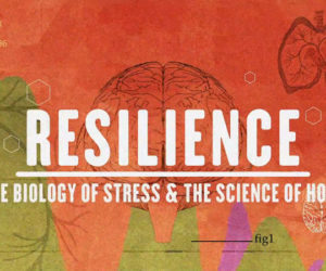 Free showings of "Resilience: The Biology of Stress & The Science of Hope" will take place on Monday, Feb. 5 at 5:30 p.m. at the Boothbay Region YMCA and Tuesday, Feb. 27 at 5:30 p.m. at Wavus Camp in Jefferson.