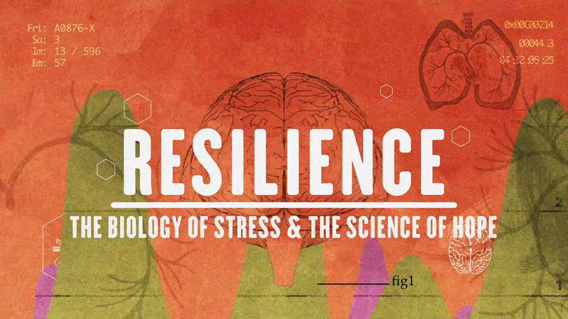 Free showings of "Resilience: The Biology of Stress & The Science of Hope" will take place on Monday, Feb. 5 at 5:30 p.m. at the Boothbay Region YMCA and Tuesday, Feb. 27 at 5:30 p.m. at Wavus Camp in Jefferson.