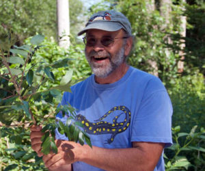 Author and foraging expert Russ Cohen will share his passion for edible native wild plants at Damariscotta River Association on Saturday, Jan. 27.