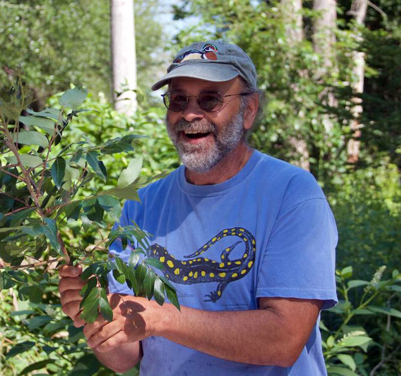 Author and foraging expert Russ Cohen will share his passion for edible native wild plants at Damariscotta River Association on Saturday, Jan. 27.