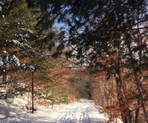 A snowy trail at Hidden Valley Nature Center in Jefferson.