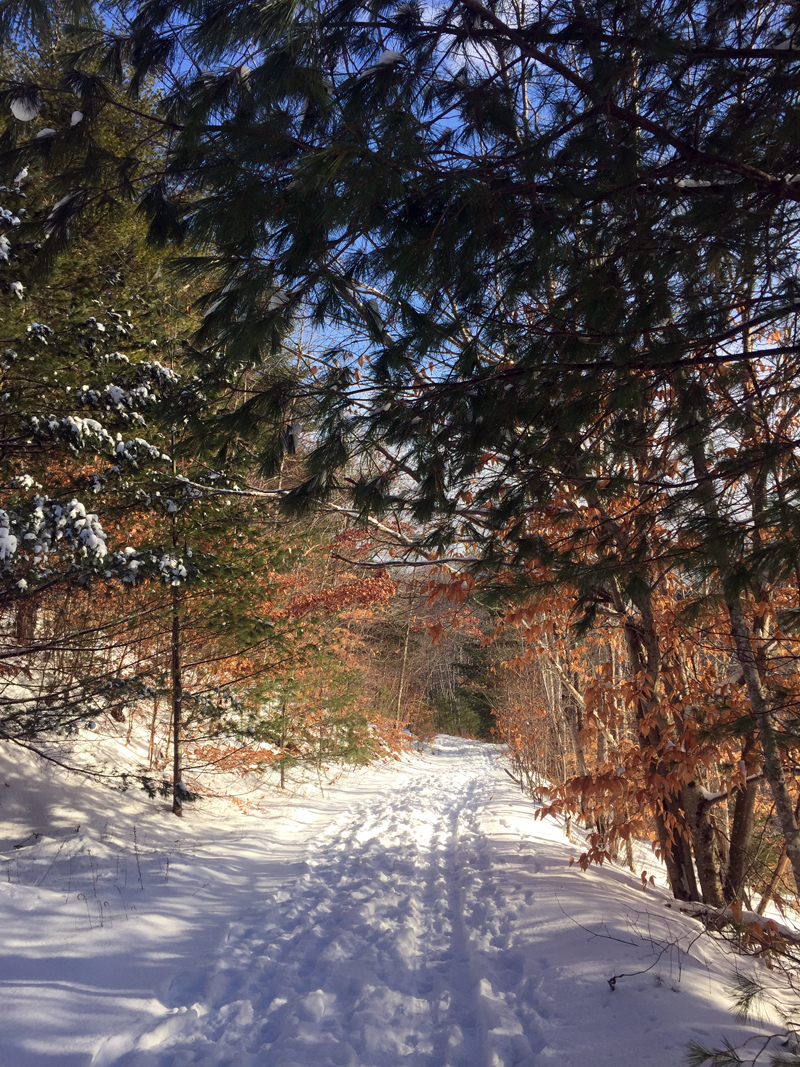 A snowy trail at Hidden Valley Nature Center in Jefferson.