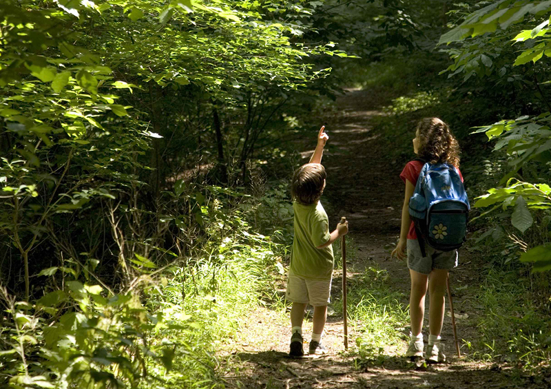 DRA is hosting a free workshop on Saturday, Feb. 17 on ways to make hiking and camping with kids more enjoyable for all.
