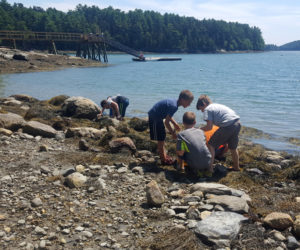 Camp Mummichog campers explored marine biology at University of Maines Darling Marine Center last summer.