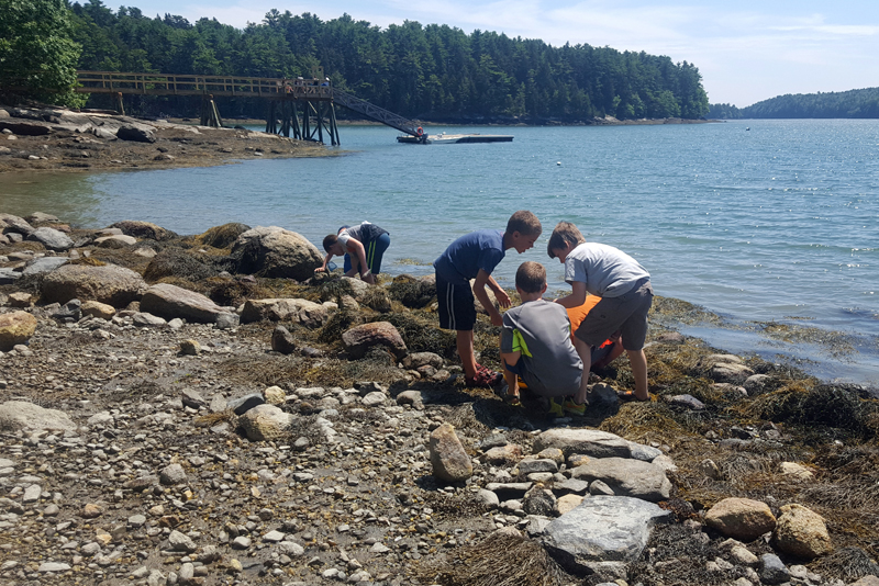 Camp Mummichog campers explored marine biology at University of Maines Darling Marine Center last summer.