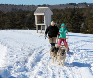 A dog-sledding demonstration is just part of the fun scheduled for Winter Fest on Sunday, Feb. 18 from noon-3 p.m.