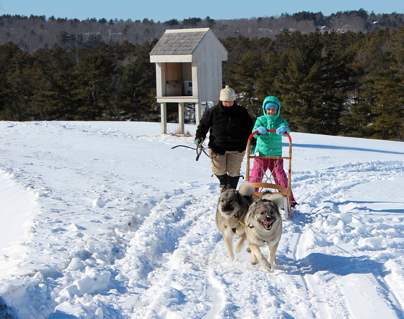 A dog-sledding demonstration is just part of the fun scheduled for Winter Fest on Sunday, Feb. 18 from noon-3 p.m.