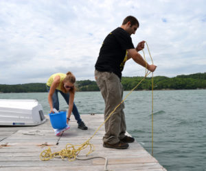 Applications are now being accepted from undergraduate students for summer internships at the Darling Marine Center posted online at dmc.umaine.edu.