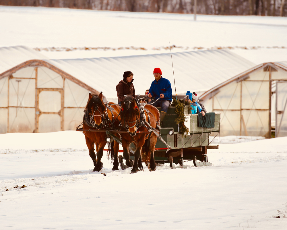 Scott MacMaster's photo of a horse-drawn wagon ride at Goranson Farm in Dresden received the most votes to become the second monthly winner of the 2018 #LCNme365 photo contest. MacMaster will receive a $50 gift certificate to Rising Tide Community Market, of Damariscotta, the sponsor of the February contest.