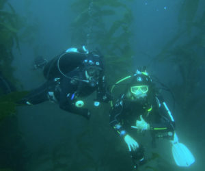 Christopher Rigaud (left), of the Darling Marine Center, works one-on-one with a diver from the National Park Service at the University of Southern Californias Wrigley Institute for Environmental Sciences.