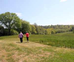 Taking a walk in a natural setting promotes relaxation, reflection, and self-awareness.