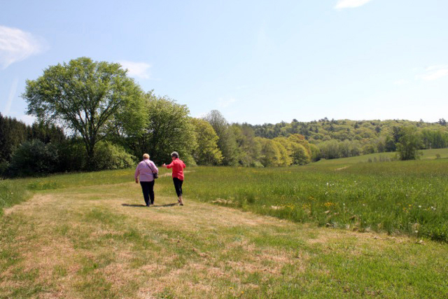 Taking a walk in a natural setting promotes relaxation, reflection, and self-awareness.