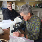 DRA in Maine Phytoplankton Monitoring Program