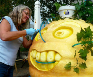 Carving a giant pumpkin.