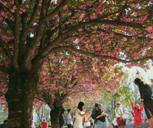 This photo by Paige Camp won the Nature category in the LA spring photo contest.