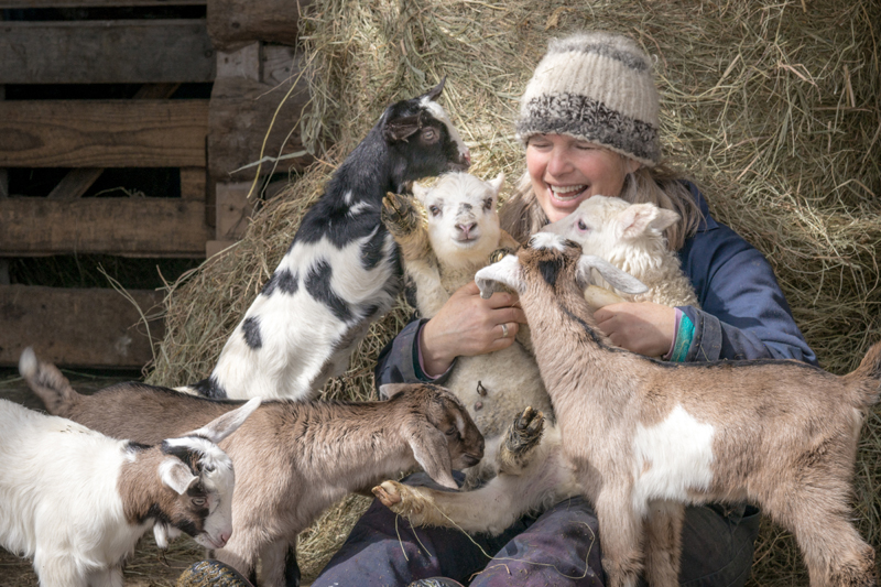 Mary Myrick, of Cape Cod, Mass., won the April #LCNme365 photo contest with her shot of Patti Hamilton, of Hamilton Farm in Whitefield, being swarmed by baby goats. Myrick will receive a $50 gift certificate to Newcastle Chrysler Dodge Jeep Ram Viper, of Newcastle, the sponsor of the April contest.