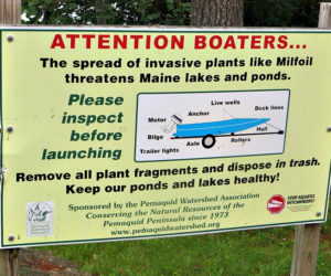 In the courtesy boat-inspection program, volunteers and boaters work together to prevent the spread of invasive aquatic plants.