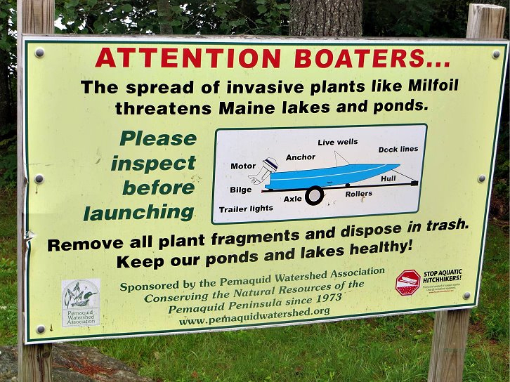 In the courtesy boat-inspection program, volunteers and boaters work together to prevent the spread of invasive aquatic plants.