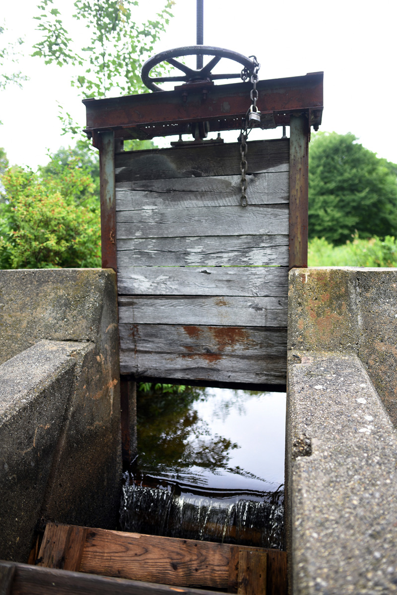 The top of the fish ladder at the Bristol Mills Dam, Tuesday, July 17. (Jessica Picard photo)