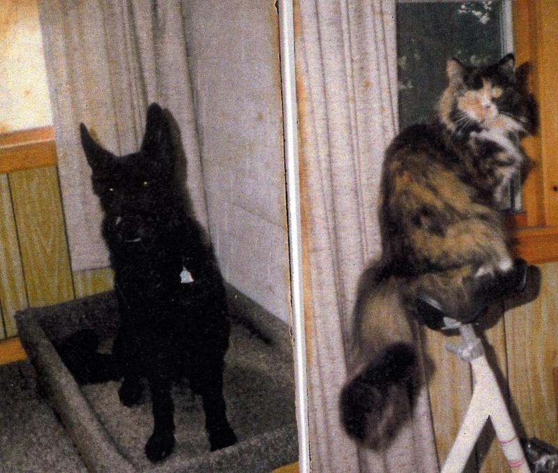 Bliss, the long-haired cat who loved cheese (right), and Oscar, the Belgian Shepherd who loved ice cream. (Photo courtesy Marjorie and Calvin Dodge)