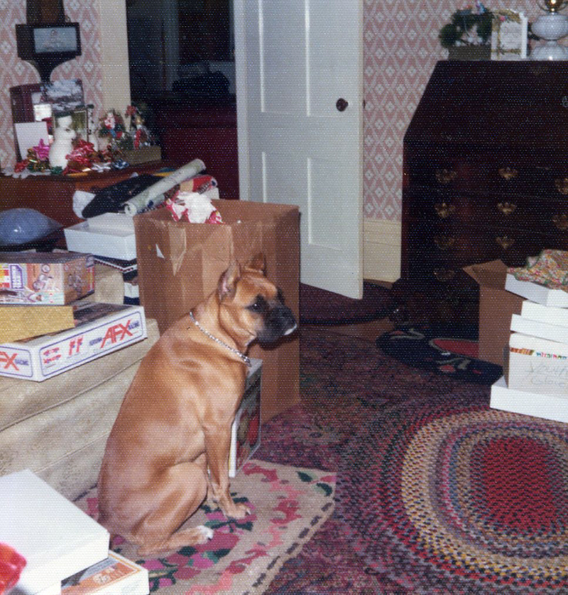 Kathleen and Marjories boxer dog, Lady, 1974. (Photo courtesy Marjorie and Calvin Dodge)