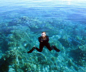 Nichole Price is a senior research scientist at Bigelow Laboratory for Ocean Sciences and an ecologist who studies seaweeds and global change.