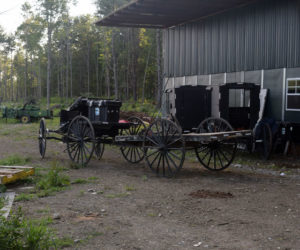 Buggies on Henry Miller's property in Whitefield. The horse-and-buggy is the primary mode of transportation for the town's growing Amish community. (Jessica Clifford photo)