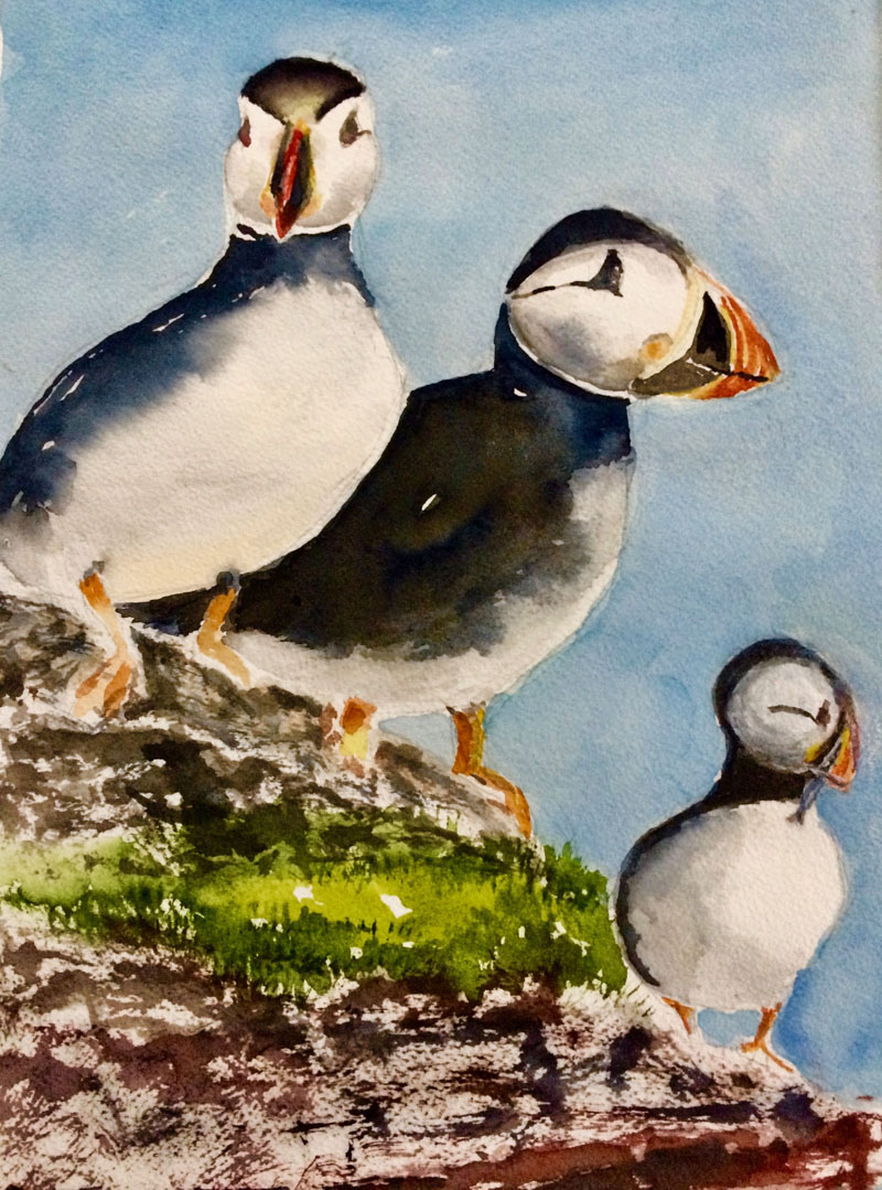 "Puffins," by Kerstin Chapman.