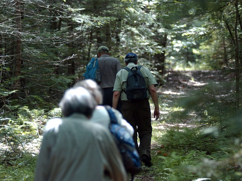 Wednesday Walkers on the trail. (Joelle Troiano photo)
