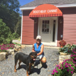 Boothbay Canine Day Care & Boarding Open for Business