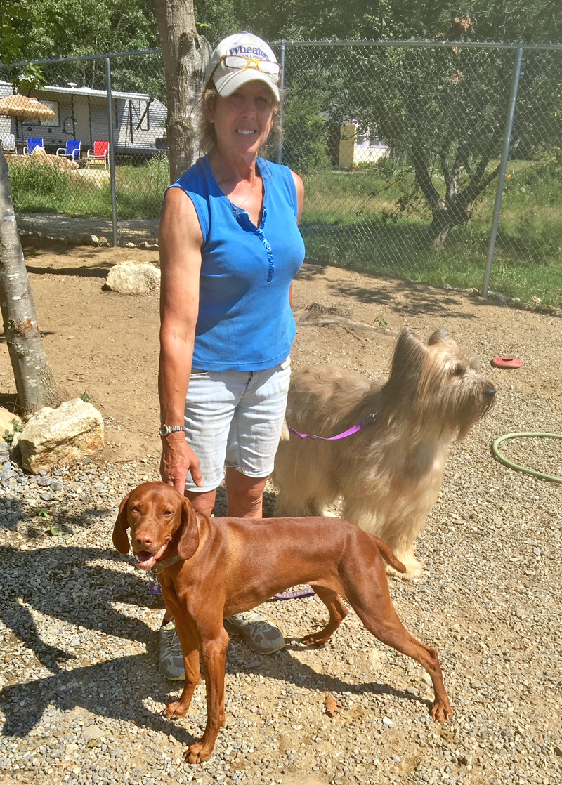 Carole Jordan with her dog, Penny, front, and one of her happy boarders at her new business, Boothbay Canine Day Care & Boarding. (Suzi Thayer photo)