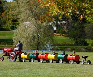 The always popular barrel train is the perfect size for young visitors.