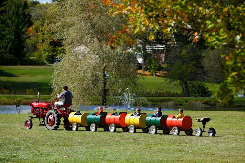 The always popular barrel train is the perfect size for young visitors.