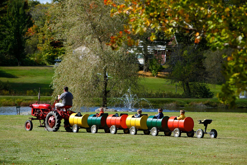 The always popular barrel train is the perfect size for young visitors.