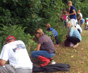 Looking for leaf eaters to identify in the GSB school backyard.