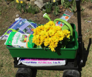 One of five prizes available from the Old Bristol Garden Club Raffle is a garden cart with plenty of gardening accessories.