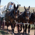 Travel the Oregon Trail at Boothbay Railway Village