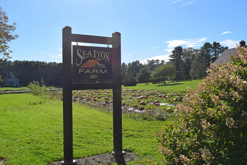 The sign at the entrance to SeaLyon Farm stands in front of the farm's pumpkin patch. (Jessica Clifford photo)