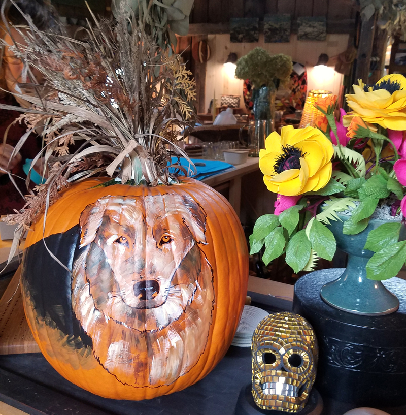 Pupkin the pumpkin. (Sarah Caton photo)