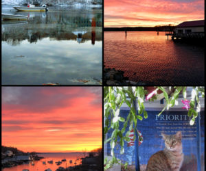 The four weekly winners of the December #LCNme365 photo contest. Voting for the monthly winner opened at noon, Wednesday, Dec. 19 and will close at 8 a.m., Monday, Dec. 24.