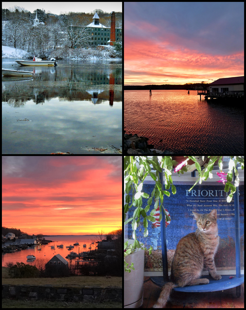 The four weekly winners of the December #LCNme365 photo contest. Voting for the monthly winner opened at noon, Wednesday, Dec. 19 and will close at 8 a.m., Monday, Dec. 24.