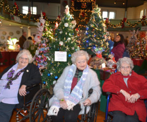 The St. Andrews Village "Golden Girls" sit in front of the tree they decorated for the Boothbay Region Garden Club's Festival of Trees at the Boothbay Harbor Opera House. (Paula Roberts photo)