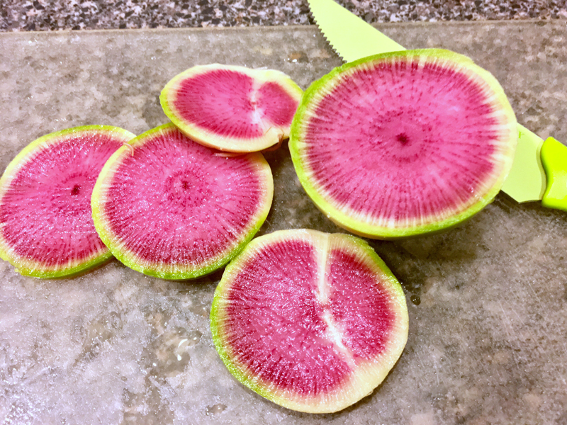 A watermelon radish is sweet and beautiful. (Suzi Thayer photo)